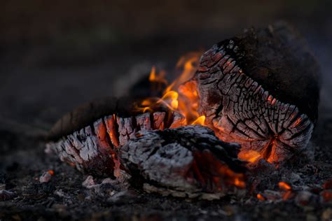 Free Images Wood Flame Fire Soil Campfire Heat Burning Macro