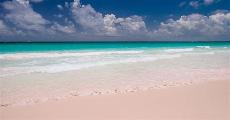 Harbour Island Bahamas And Pink Sands Beach Travel Guide