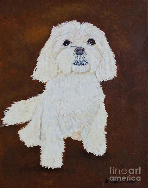 Pet Portrait Maltese Painting By Shelia Kempf Fine Art America