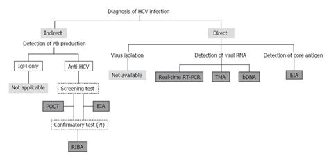 Hepatitis C Virus Virology Diagnosis And Treatment