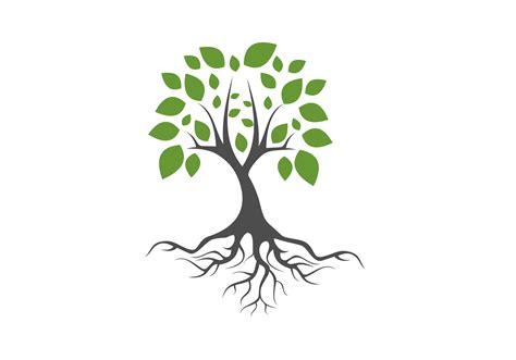 Tree And Roots Logo Design Vector Ubicaciondepersonascdmxgobmx
