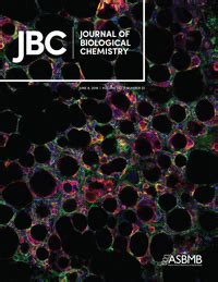 Acute Isolation of Cells from Murine Sino-atrial Node