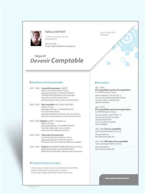 42 Curriculum Vitae Modele Romana  Curriculum vitae, Curriculum, Resume cv