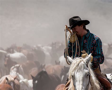 Working Cowboy Photograph By John Mcarthur Pixels