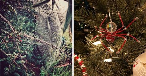 People Are Putting Spiders In Their Christmas Trees And Heres Why