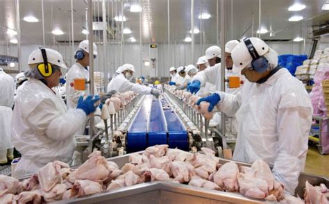 Trump Forcing Meat Processing Plants To Stay Open Gets 600 Workers