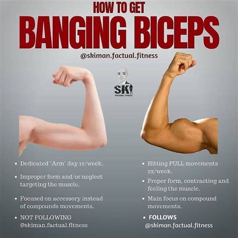 5 biceps tips that build size no matter your level of experience biceps