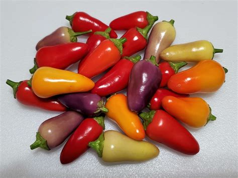 Multi Color Jalapeno Pepper Seeds Super Hot Chiles