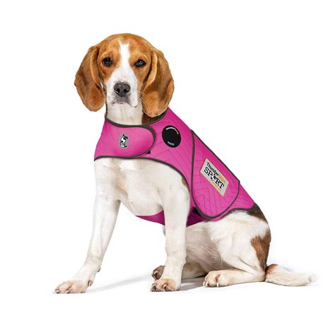 Dog Anxiety Vest Meme Ubicaciondepersonascdmxgobmx