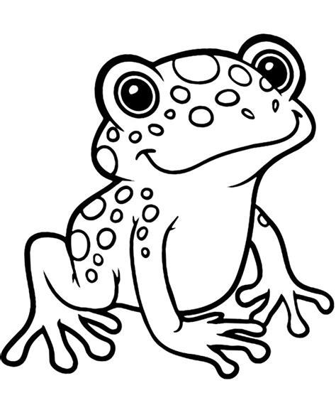 Zwierzęta Wodne Do Kolorowania żaba Malowanka