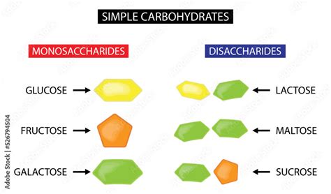 Illustration Of Chemistry And Biology Simple Carbohydrates