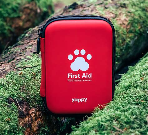 Travel Size First Aid Kit For Your Dog