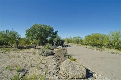 North Scottsdale Real Estate Estancia Lots 1 3 The Luckys North