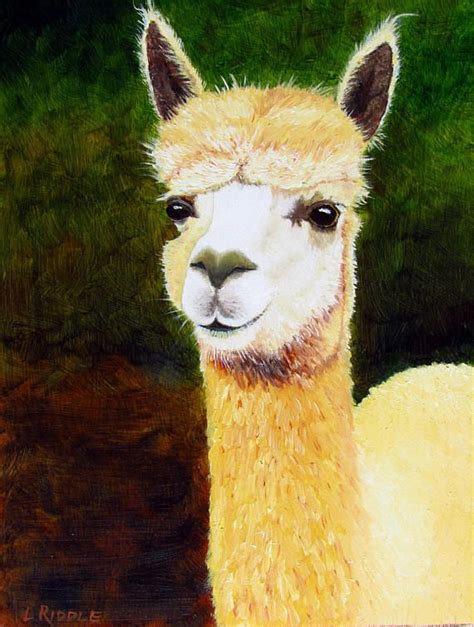 Llama Painting Original Oil Animal Painting By Lindariddleart