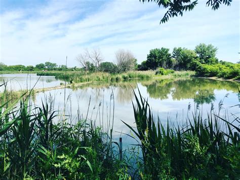 Calumet Wetlands Audubon Great Lakes