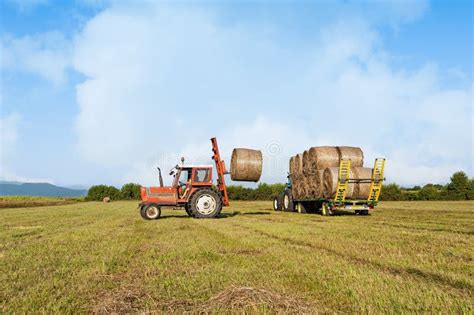 Agricultural Scene Tractor Lifting Hay Bale On Barrow Stock Photo