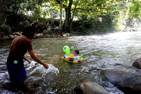 Banana Stories Sungai Pangsun Hulu Langat Selangor 2015