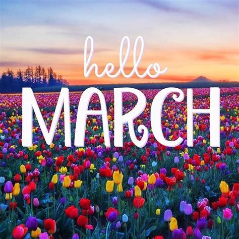 Pin By Pages Partylite On Younquie Hello March March Quotes March Month