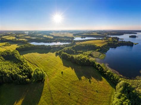 Het woud van bialowieza, kasteel mir. Natuur in Wit-Rusland | Tips voor een natuurreis