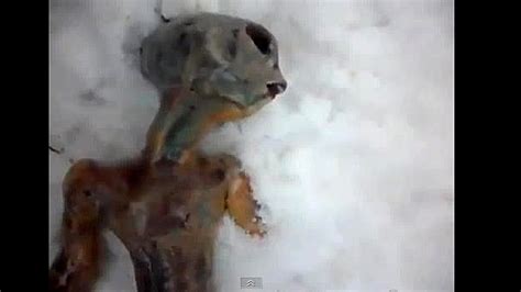 Viral Video Sensation Millions Watch Siberian Alien Discovery Fox News