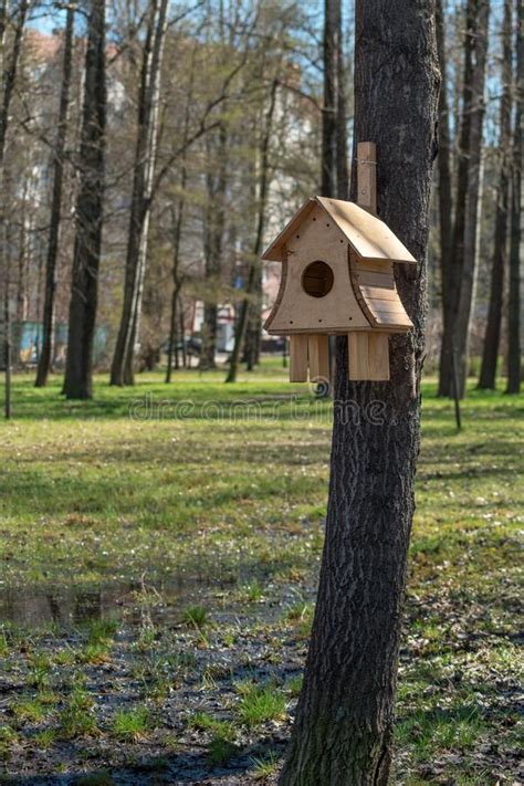 Beautiful Birdhouse On The Tree Stock Image Image Of Summer Grass