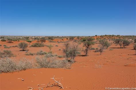 Désert du Kalahari Désert mythique de Namibie
