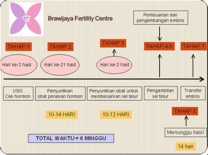 Mimpi punya bayi dan menggendongnya,mimpi menemukan bayi dan menggendongnya,mimpi bahwa anda akan mendapatkan suatu keberuntungan di kehidupan atas segala perjuangan anda saat nah itulah yang bisa quipper.co.id sampaikan kali ini mengenai arti mimpi menggendong bayi. Bayi Tabung Uji Menurut Islam