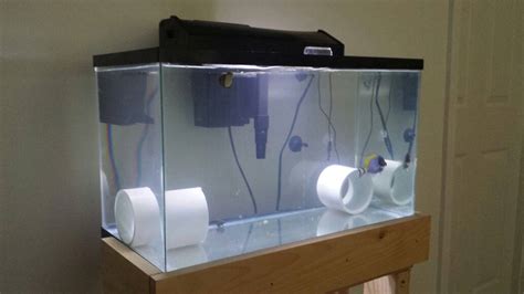 Setting Up A Quarantine Tank And How To Quarantine Fish A Guide