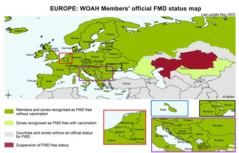 Foot And Mouth Disease Woah World Organisation For Animal Health