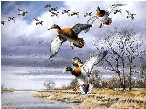 Birds Migration Painting In Oil For Sale