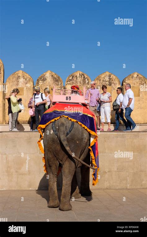 Tourists Ride Elephants At The Amber Fort In Jaipur India Stock Photo