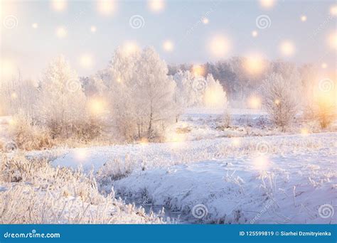 Winter Landscape Christmas Holiday Background Stock Image Image Of