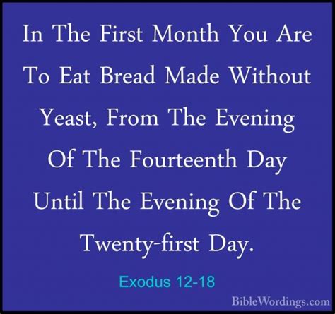 Exodus 12 Holy Bible English