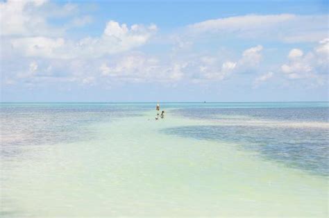 Best Beaches In Upper Florida Keys Ayla Pics Gallery