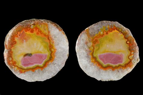 29 Polished Agate Nodule Pair Agouim Morocco 180706 For Sale