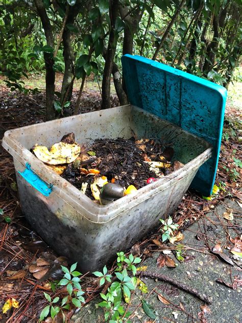 Action Of The Month Try Your Hand At Home Composting Thompson Earth