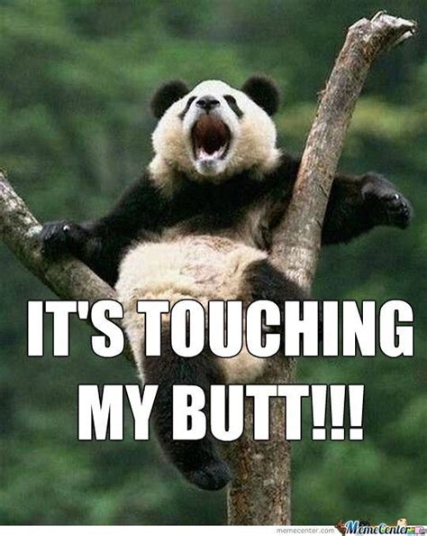 15 Incredibly Funny Panda Memes Funny Panda Pictures Panda Funny