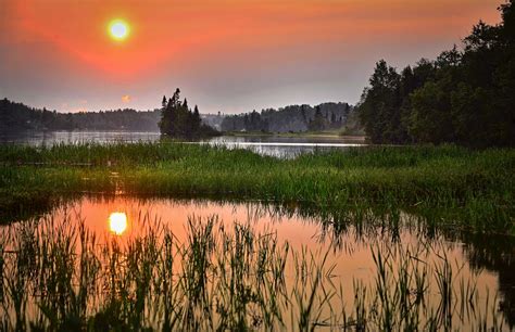 Dawn Dusk Forest Grass Lake Landscape Reflection Sun Sunrise