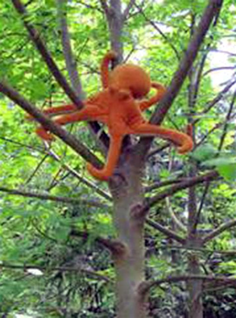Opinioncommentary Save The Tree Octopus Commentary By