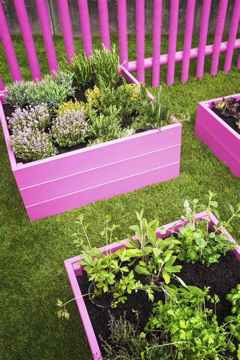 30 Raised Garden Bed Ideas Tipsaholic Container Gardening Starting