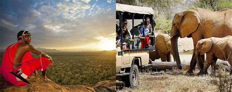 7 Days Kenya Wildlife Safari Primate Holidays Kenya Safaris