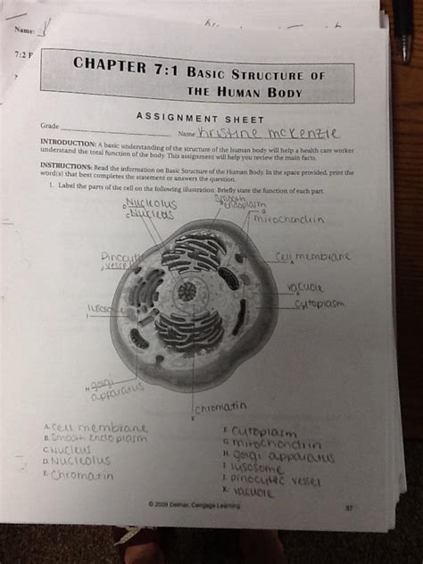 Looked at pond water and discovered microorganisms. 7.1 Life Is Cellular Answer Key Biology + My PDF Collection 2021