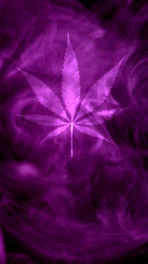 Purple Kush Wallpaper Hd