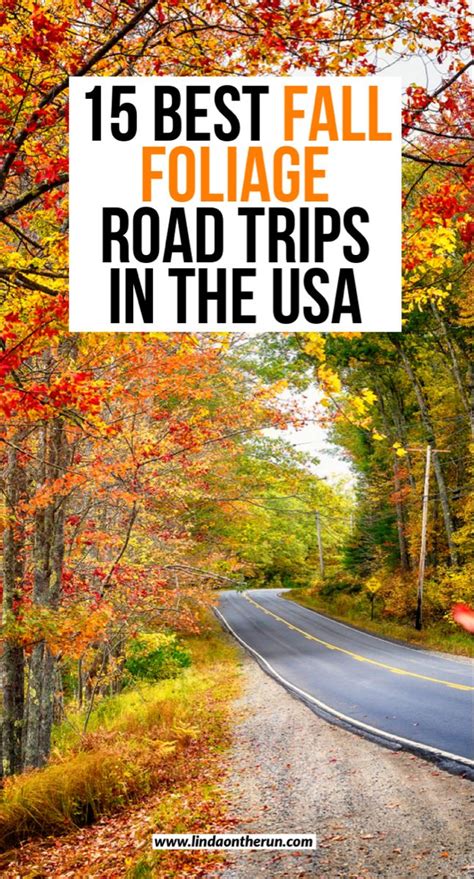 15 Best Fall Foliage Road Trips In The Usa Traveling Domestically