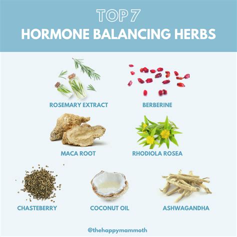 Breakthrough Hormone Balancing Herbs For Women Fast Acting Happy Mammoth Foods To