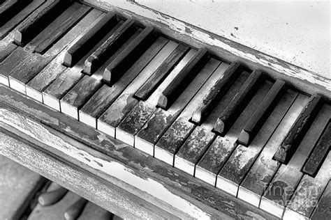 Old Piano Keys Photograph By W Scott Mcgill Pixels