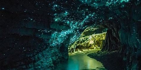 New Zealand Has A Cave Full Of Glow Worms And You Should
