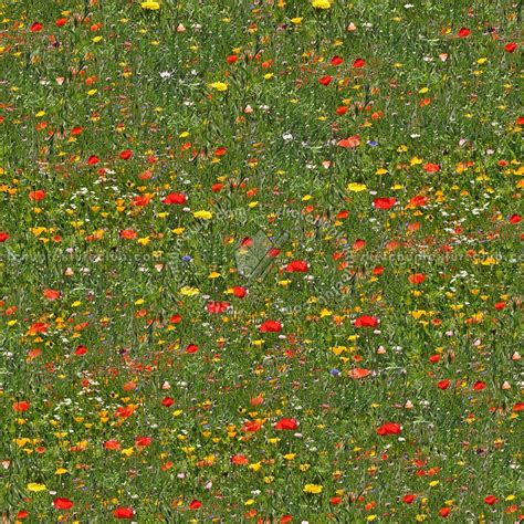 Flowery Meadow Texture Seamless 12949