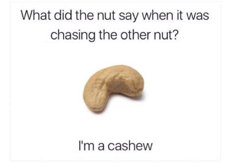 What Did The Nut Say Rmemes