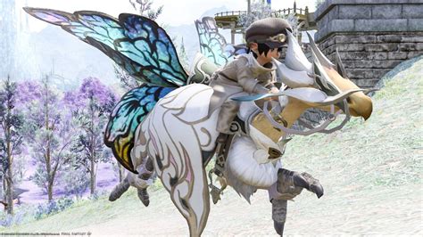 Chocobo Armor Titania Barding With Beautiful And Cute Big Butterfly